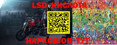 apvp Свободный
