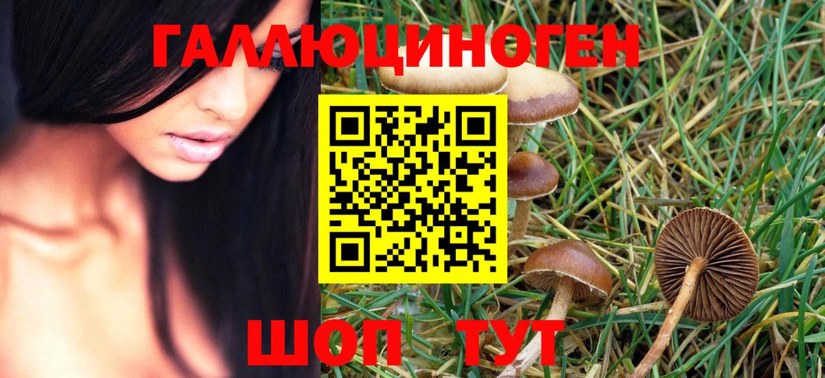Псилоцибиновые грибы MAGIC MUSHROOMS Ртищево